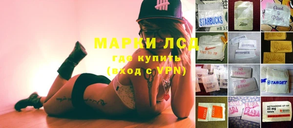 индика Волоколамск