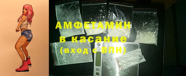 индика Волоколамск
