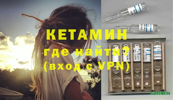 индика Волоколамск