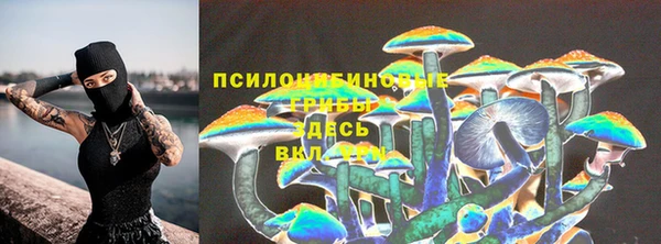 бошки Волосово
