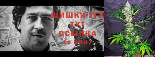 индика Волоколамск
