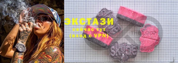 индика Волоколамск