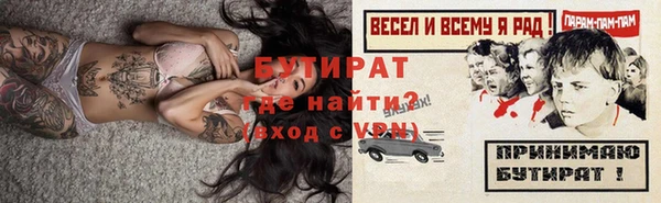 индика Волоколамск