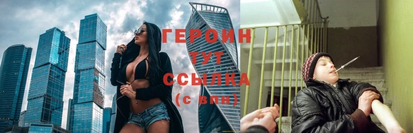 индика Волоколамск