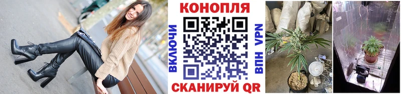 Бошки Шишки AK-47  наркотики  Игра 